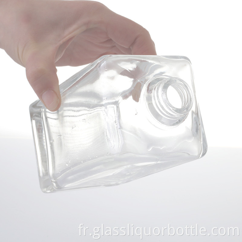 Empty Vodka Bottle